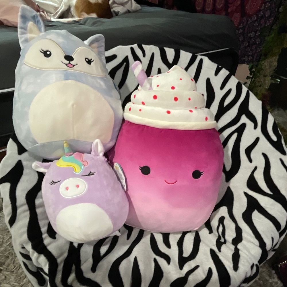 Faldette, cinnamon, Silvia Squishmallow bundle